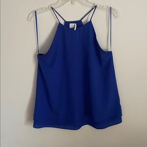 Paper Crane Royal Blue Top